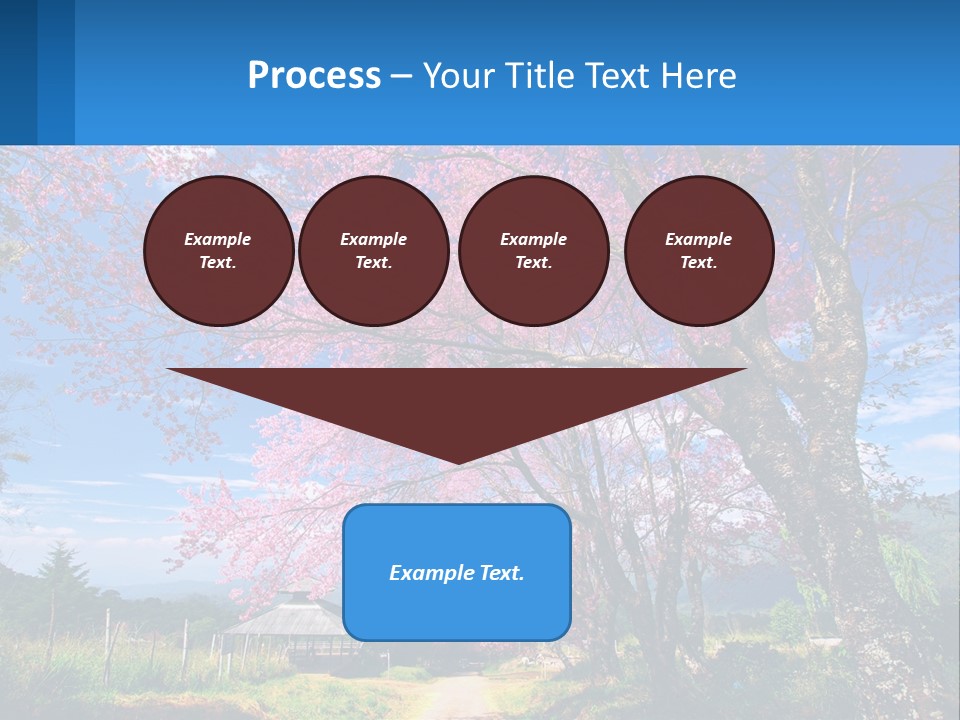 A Beautiful Pink Tree With Blue Sky In The Background PowerPoint Template