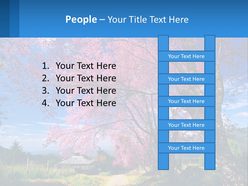 A Beautiful Pink Tree With Blue Sky In The Background PowerPoint Template