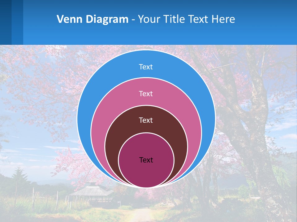 A Beautiful Pink Tree With Blue Sky In The Background PowerPoint Template