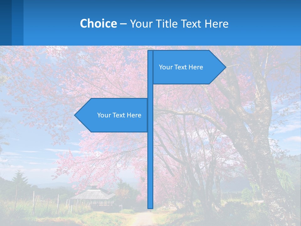 A Beautiful Pink Tree With Blue Sky In The Background PowerPoint Template