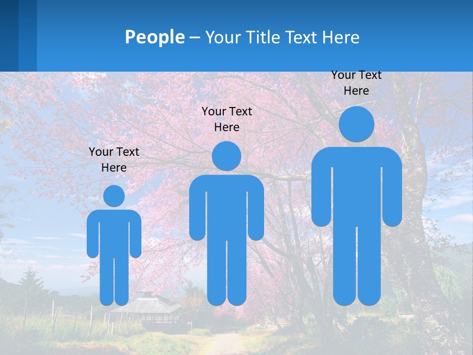 A Beautiful Pink Tree With Blue Sky In The Background PowerPoint Template