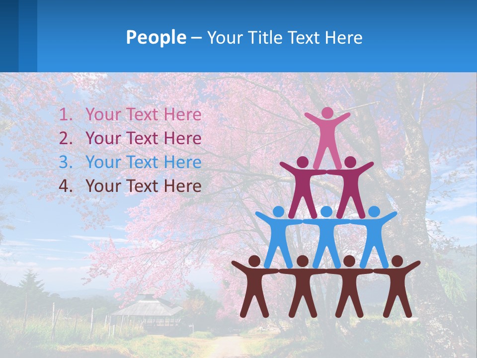 A Beautiful Pink Tree With Blue Sky In The Background PowerPoint Template