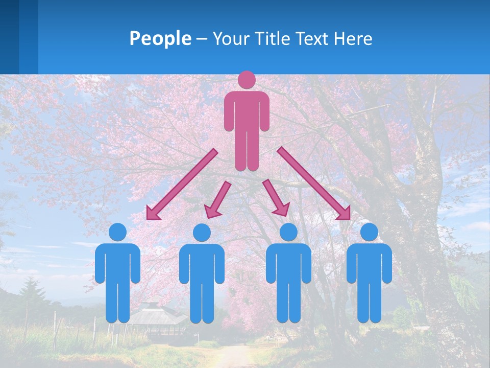 A Beautiful Pink Tree With Blue Sky In The Background PowerPoint Template