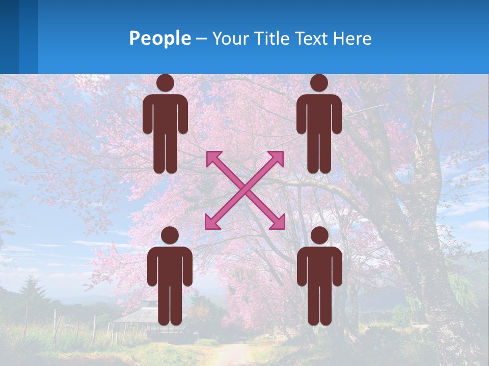 A Beautiful Pink Tree With Blue Sky In The Background PowerPoint Template