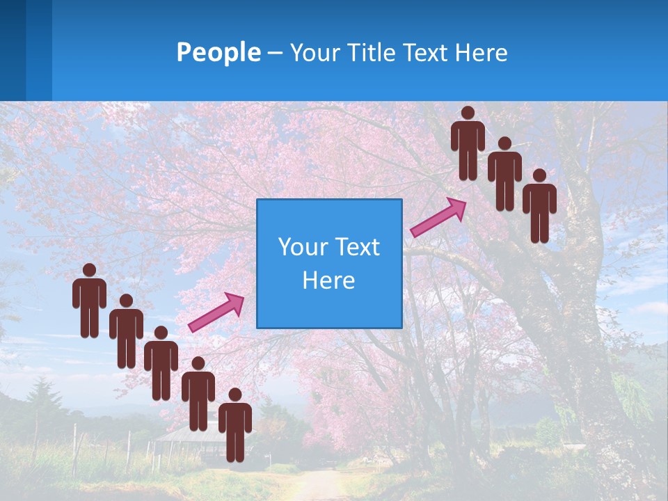 A Beautiful Pink Tree With Blue Sky In The Background PowerPoint Template