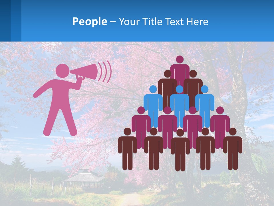 A Beautiful Pink Tree With Blue Sky In The Background PowerPoint Template