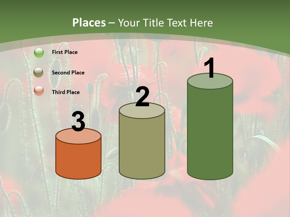 A Field Of Red Flowers With A Green Background PowerPoint Template