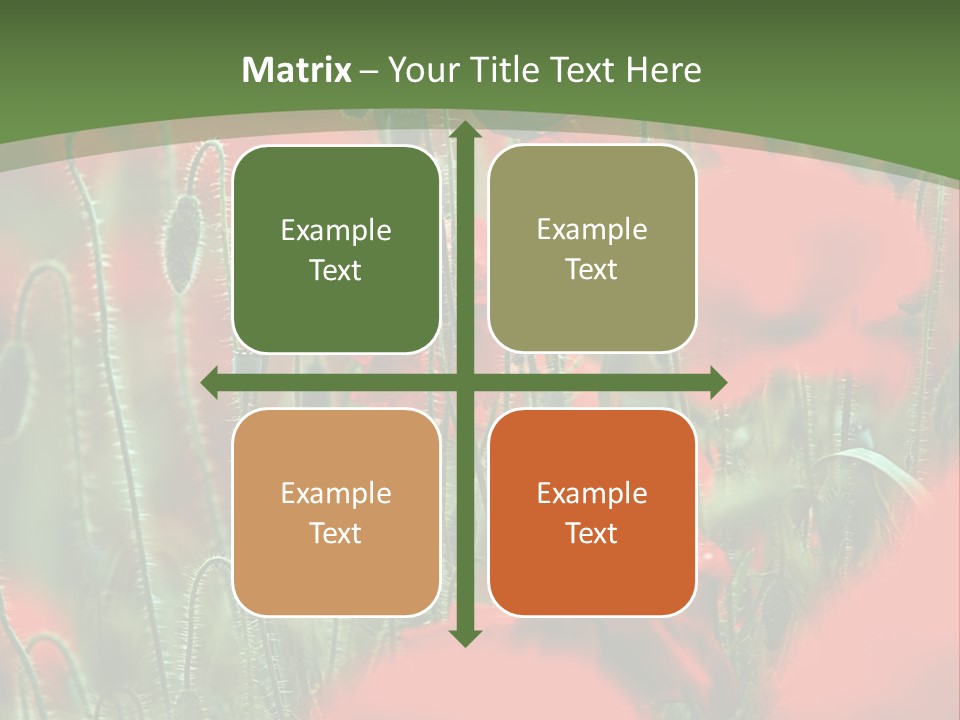 A Field Of Red Flowers With A Green Background PowerPoint Template