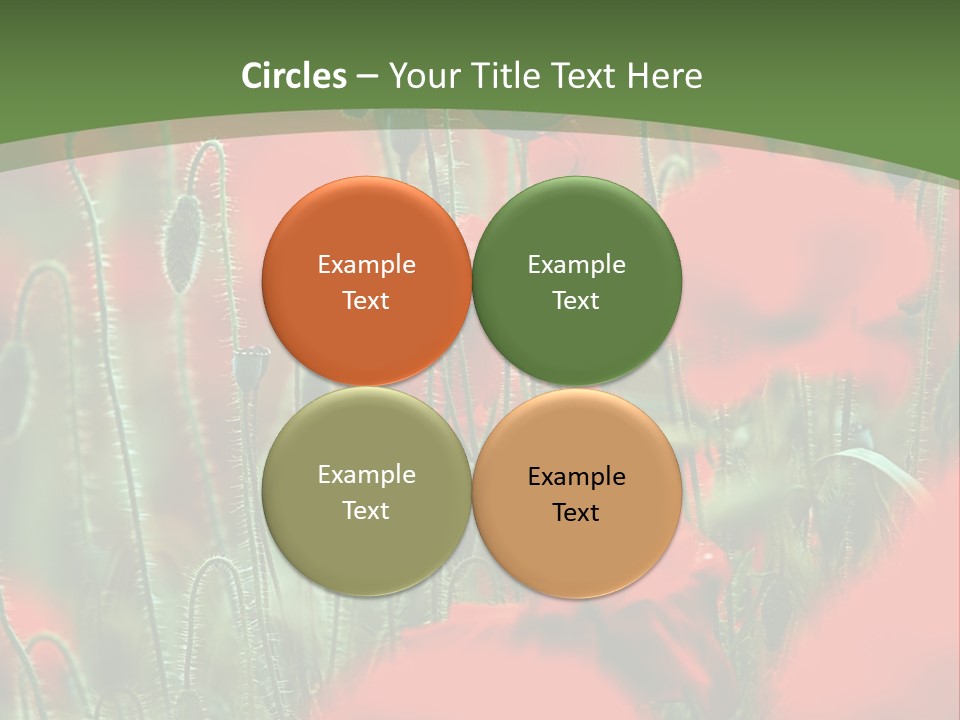 A Field Of Red Flowers With A Green Background PowerPoint Template