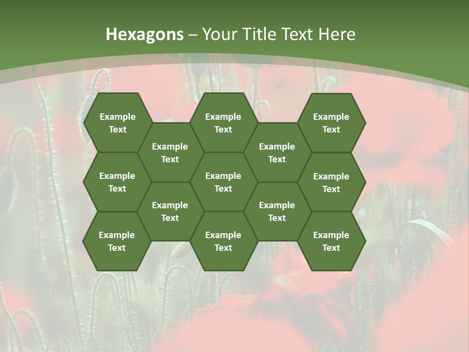 A Field Of Red Flowers With A Green Background PowerPoint Template