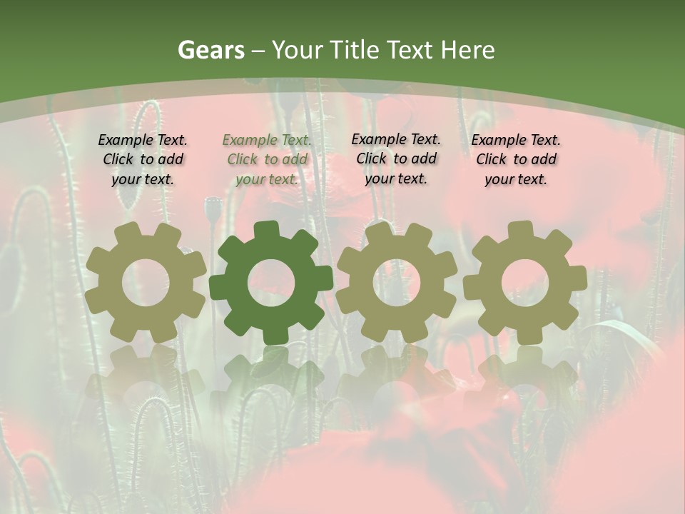A Field Of Red Flowers With A Green Background PowerPoint Template