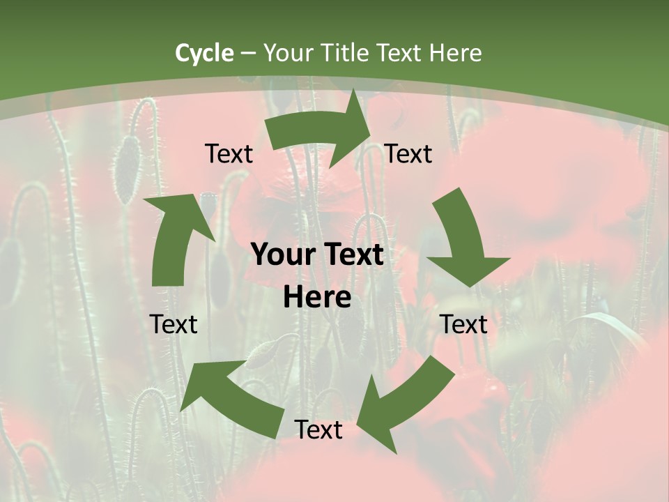 A Field Of Red Flowers With A Green Background PowerPoint Template