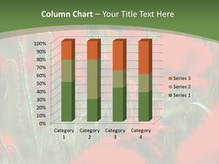 A Field Of Red Flowers With A Green Background PowerPoint Template