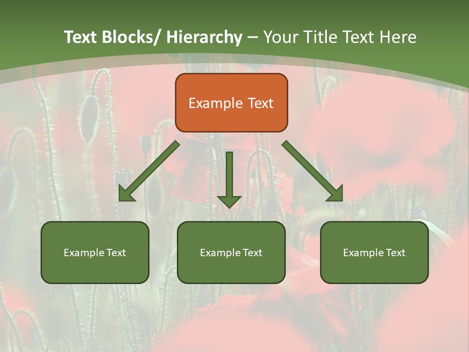 A Field Of Red Flowers With A Green Background PowerPoint Template