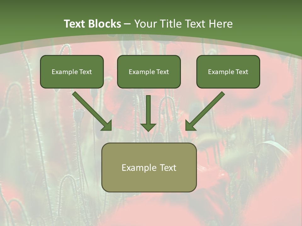 A Field Of Red Flowers With A Green Background PowerPoint Template