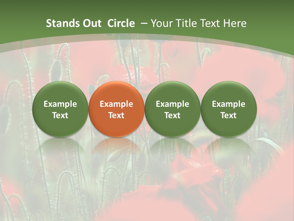 A Field Of Red Flowers With A Green Background PowerPoint Template