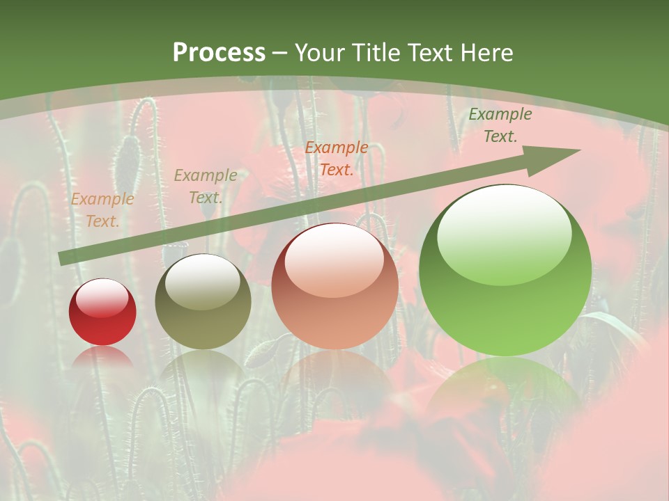 A Field Of Red Flowers With A Green Background PowerPoint Template