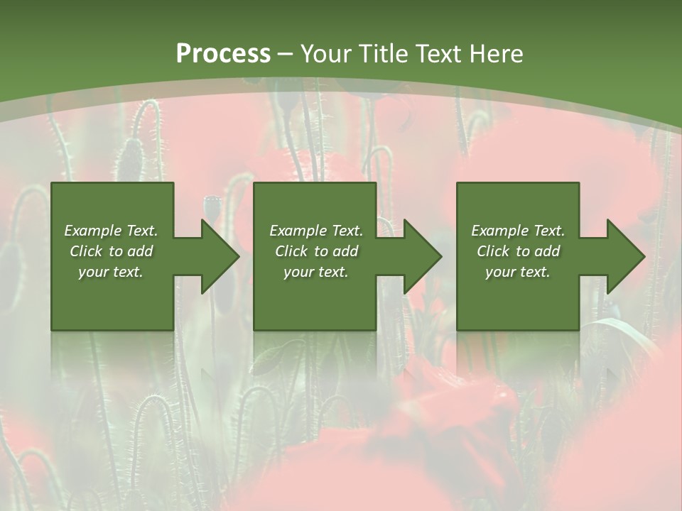 A Field Of Red Flowers With A Green Background PowerPoint Template
