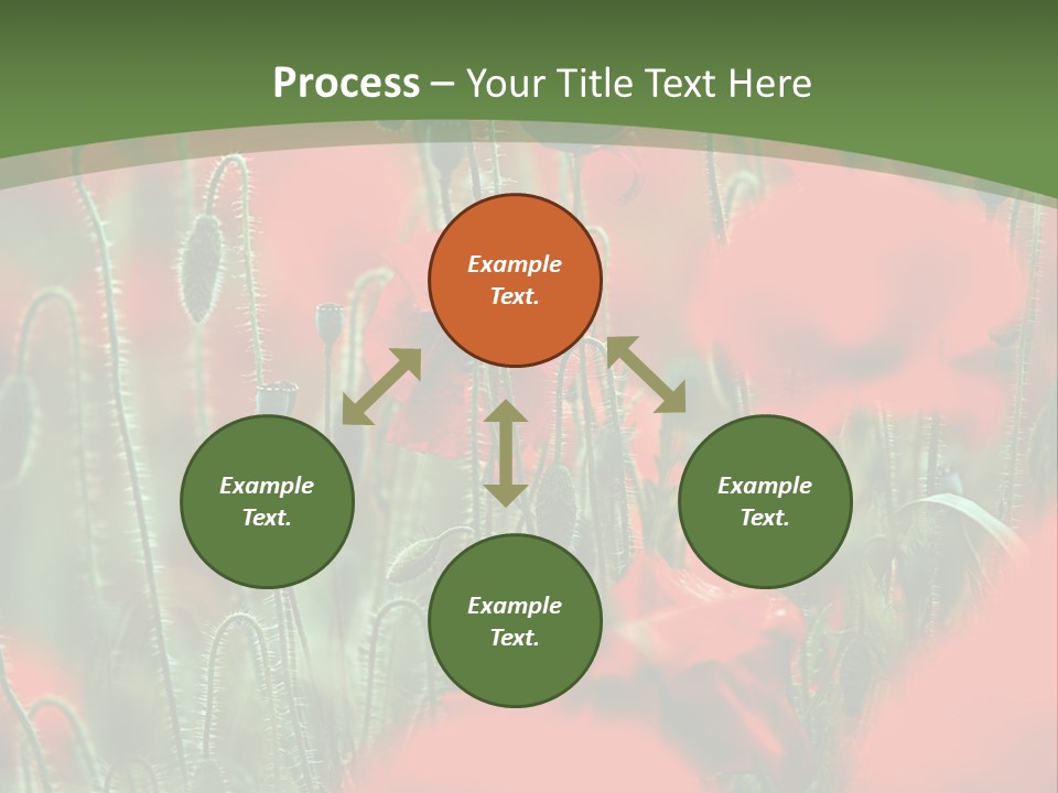 A Field Of Red Flowers With A Green Background PowerPoint Template