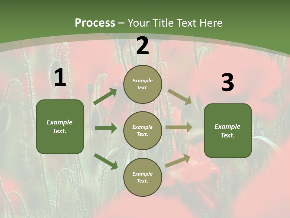 A Field Of Red Flowers With A Green Background PowerPoint Template