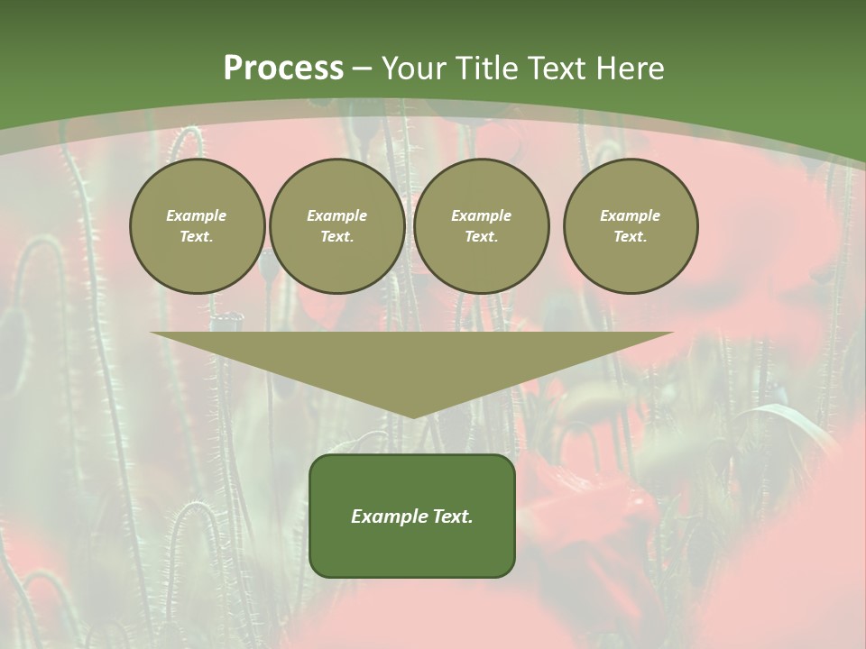 A Field Of Red Flowers With A Green Background PowerPoint Template