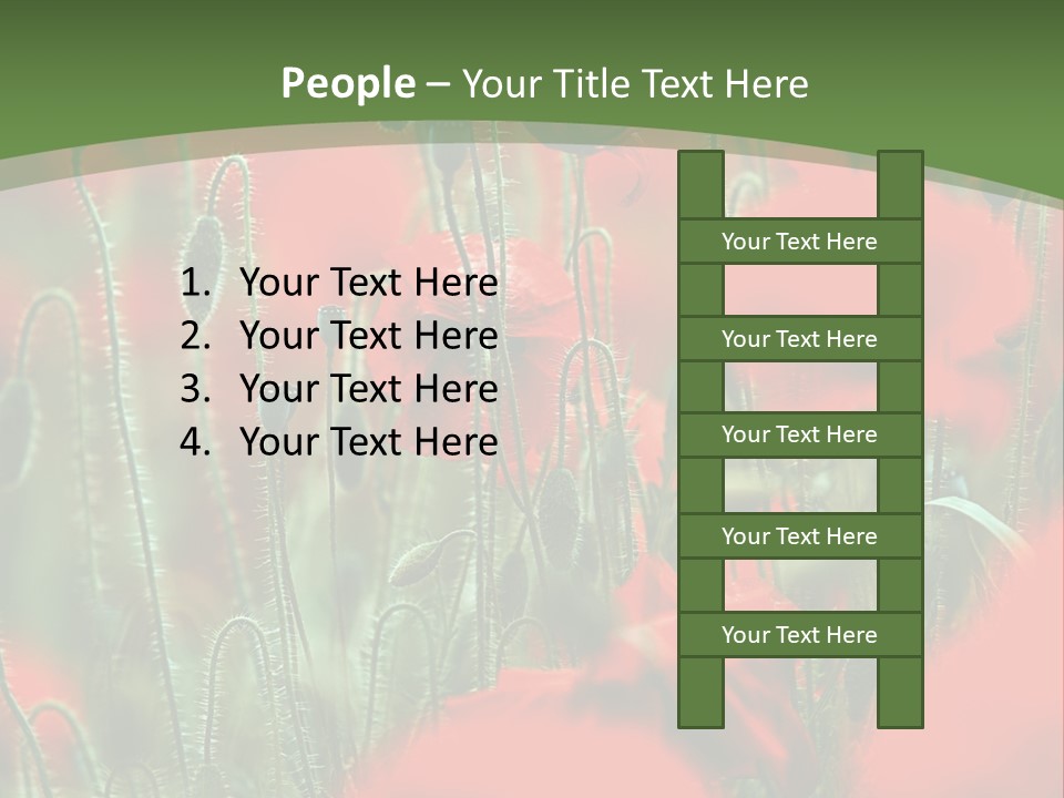 A Field Of Red Flowers With A Green Background PowerPoint Template