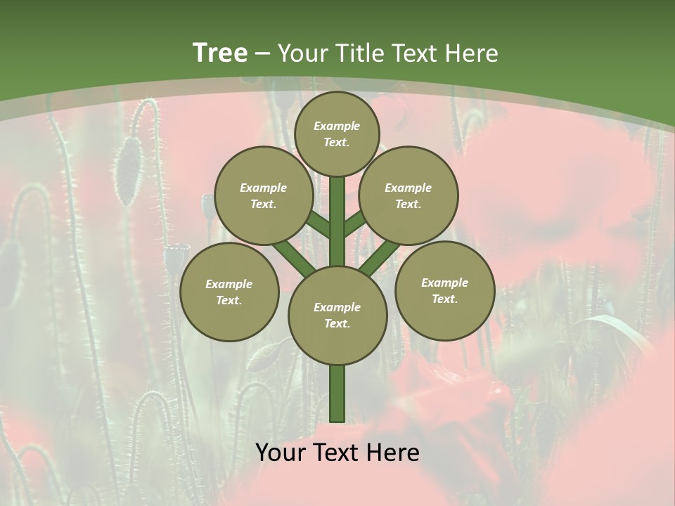 A Field Of Red Flowers With A Green Background PowerPoint Template