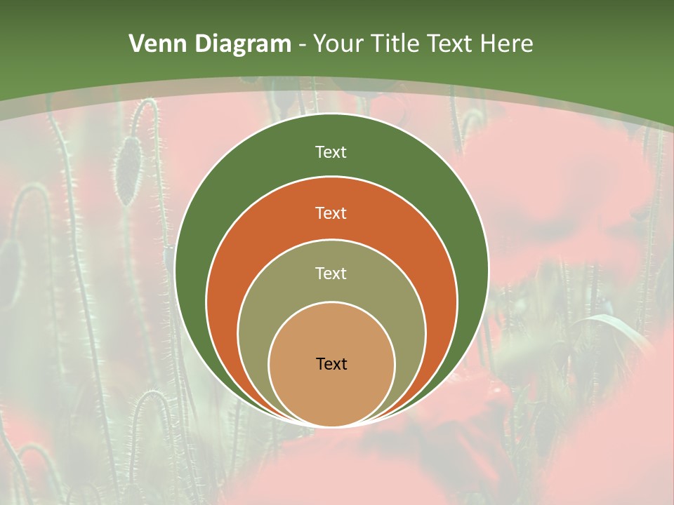 A Field Of Red Flowers With A Green Background PowerPoint Template