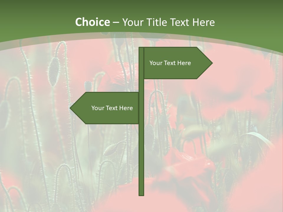A Field Of Red Flowers With A Green Background PowerPoint Template