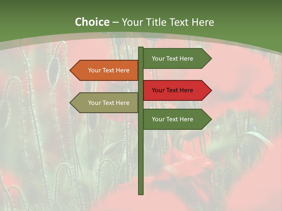 A Field Of Red Flowers With A Green Background PowerPoint Template