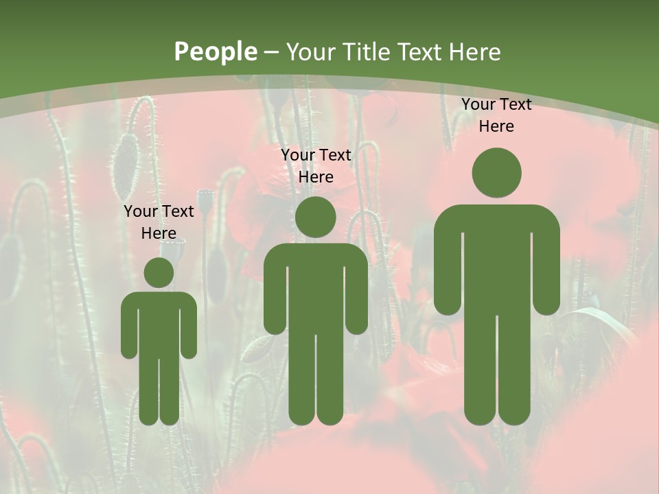 A Field Of Red Flowers With A Green Background PowerPoint Template