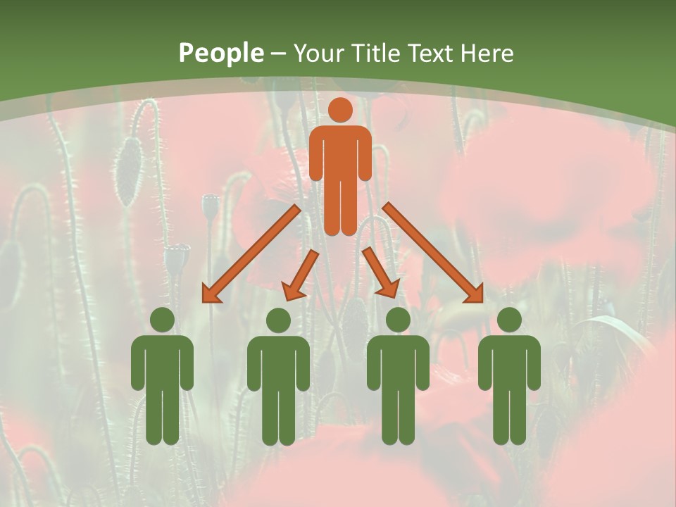 A Field Of Red Flowers With A Green Background PowerPoint Template