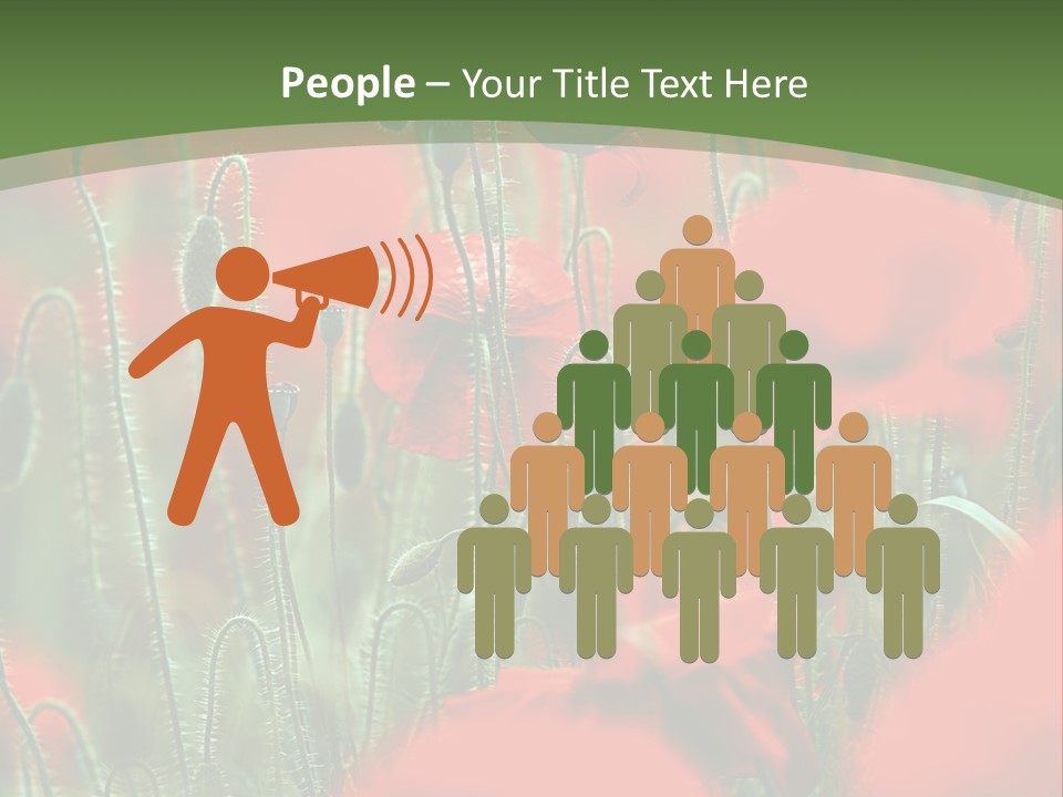 A Field Of Red Flowers With A Green Background PowerPoint Template