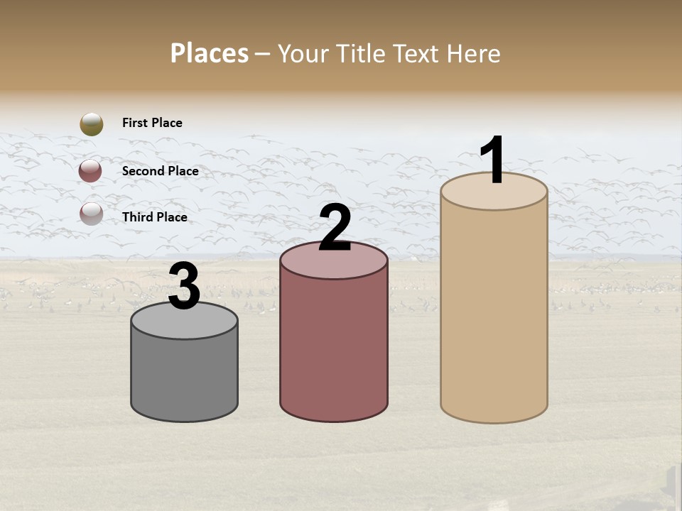 A Large Flock Of Birds Flying Over A Field PowerPoint Template