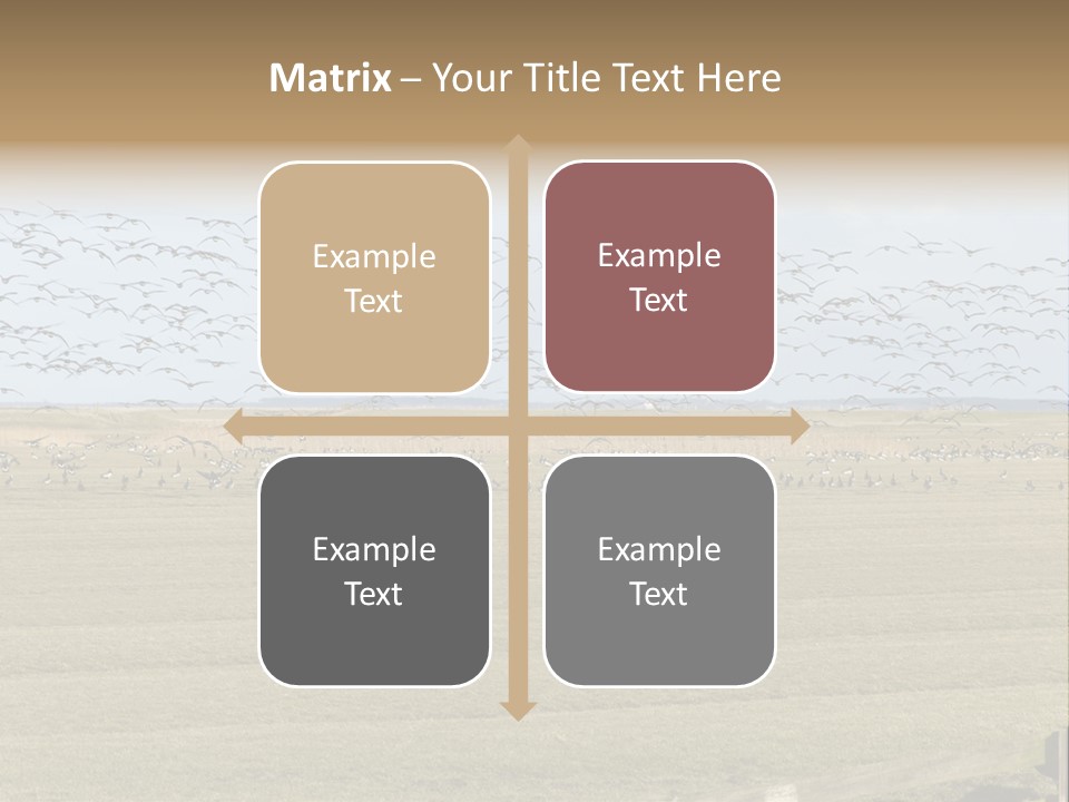 A Large Flock Of Birds Flying Over A Field PowerPoint Template
