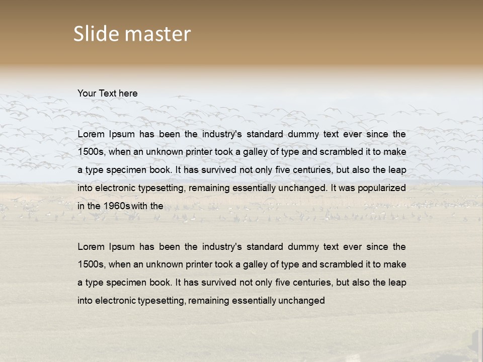 A Large Flock Of Birds Flying Over A Field PowerPoint Template