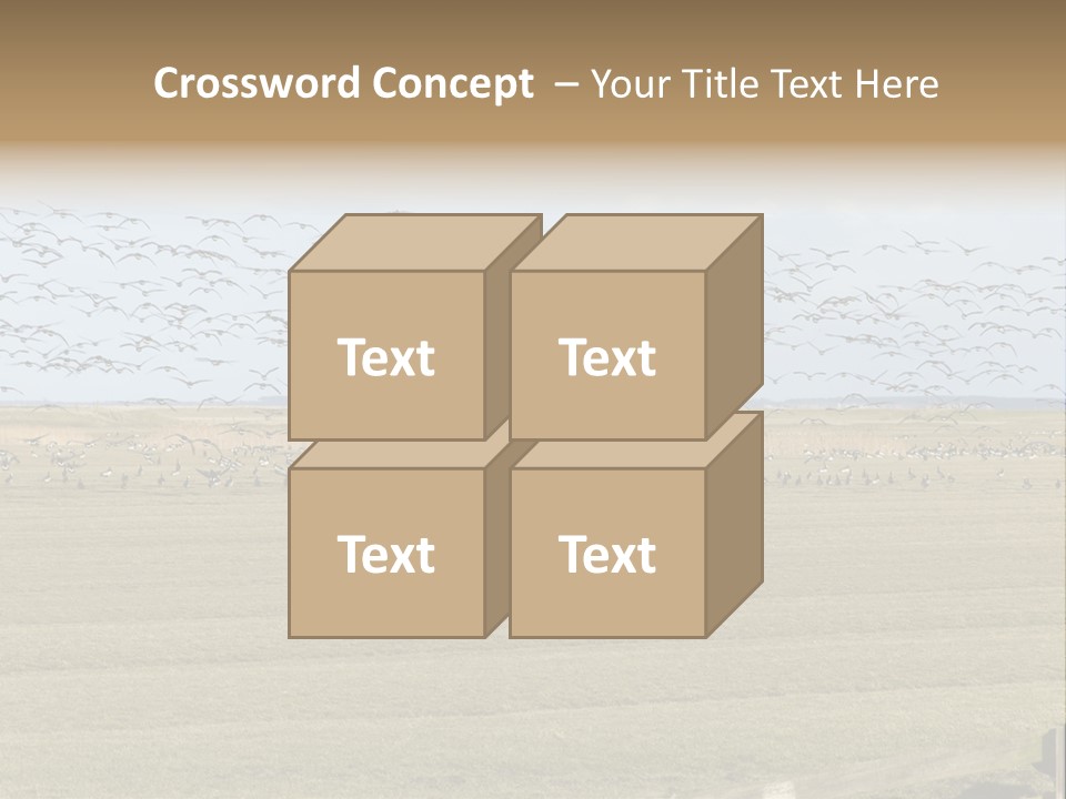 A Large Flock Of Birds Flying Over A Field PowerPoint Template