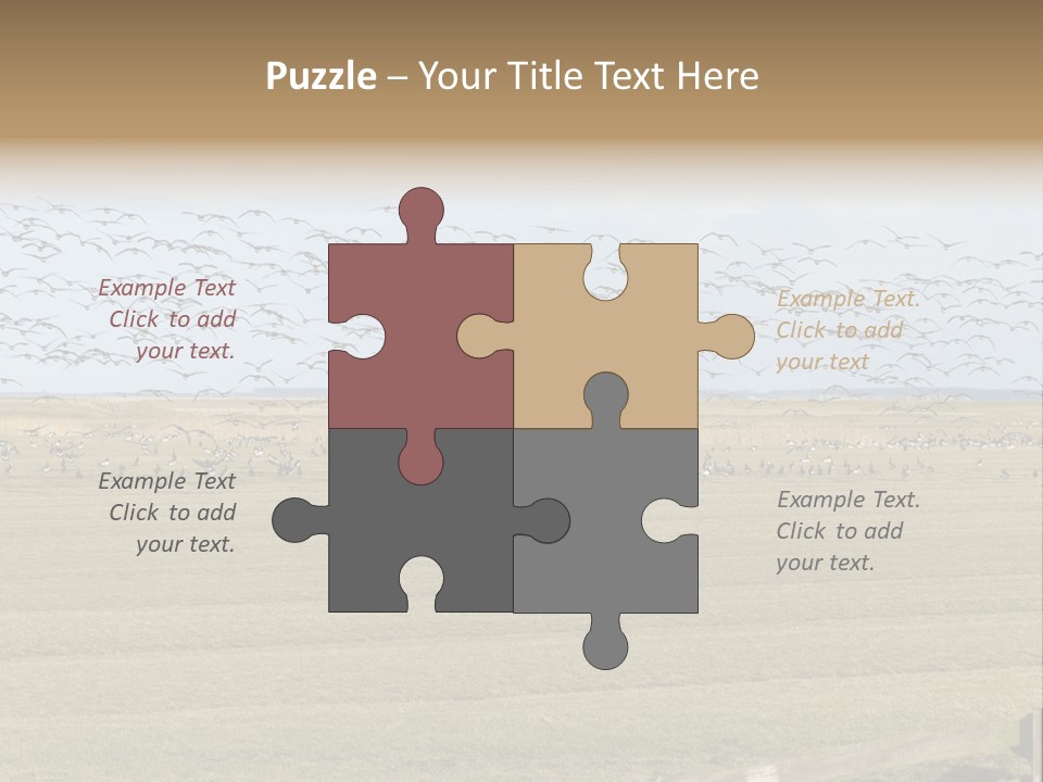 A Large Flock Of Birds Flying Over A Field PowerPoint Template