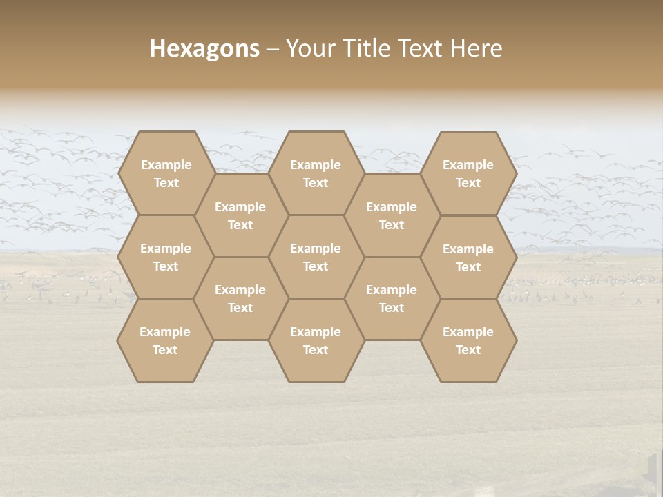 A Large Flock Of Birds Flying Over A Field PowerPoint Template