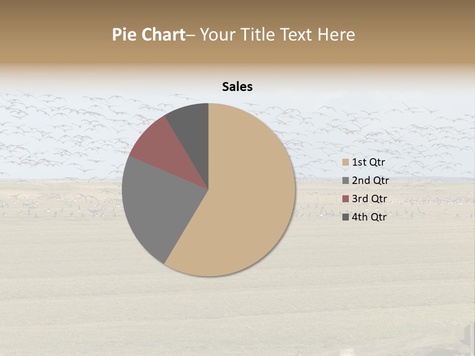A Large Flock Of Birds Flying Over A Field PowerPoint Template