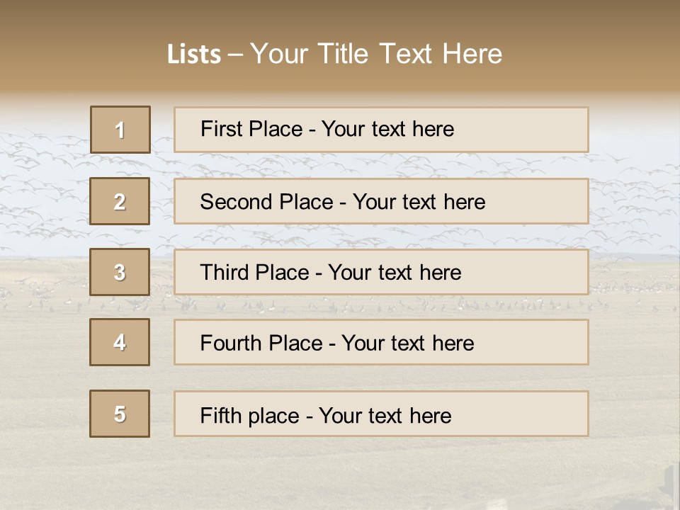 A Large Flock Of Birds Flying Over A Field PowerPoint Template
