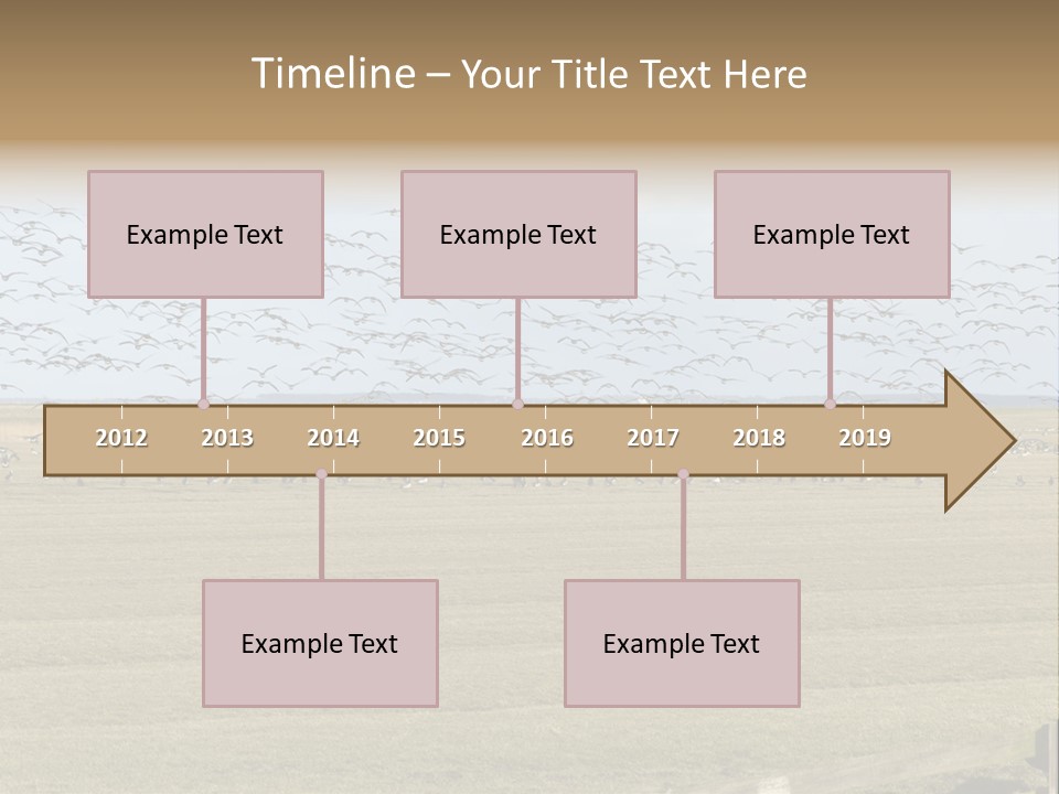 A Large Flock Of Birds Flying Over A Field PowerPoint Template