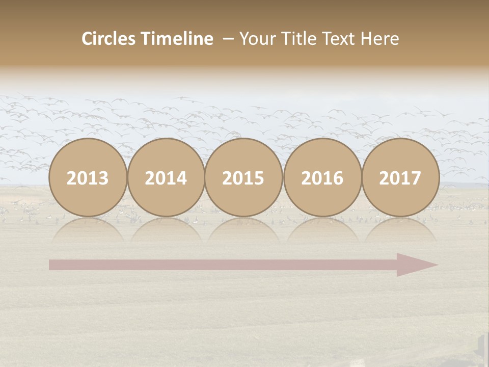 A Large Flock Of Birds Flying Over A Field PowerPoint Template