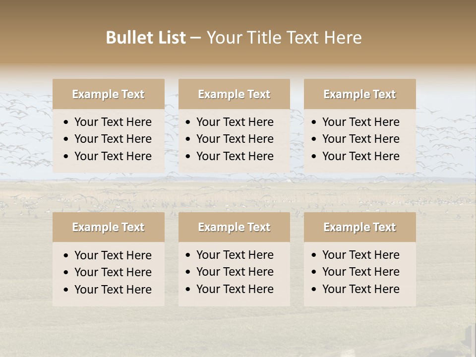 A Large Flock Of Birds Flying Over A Field PowerPoint Template