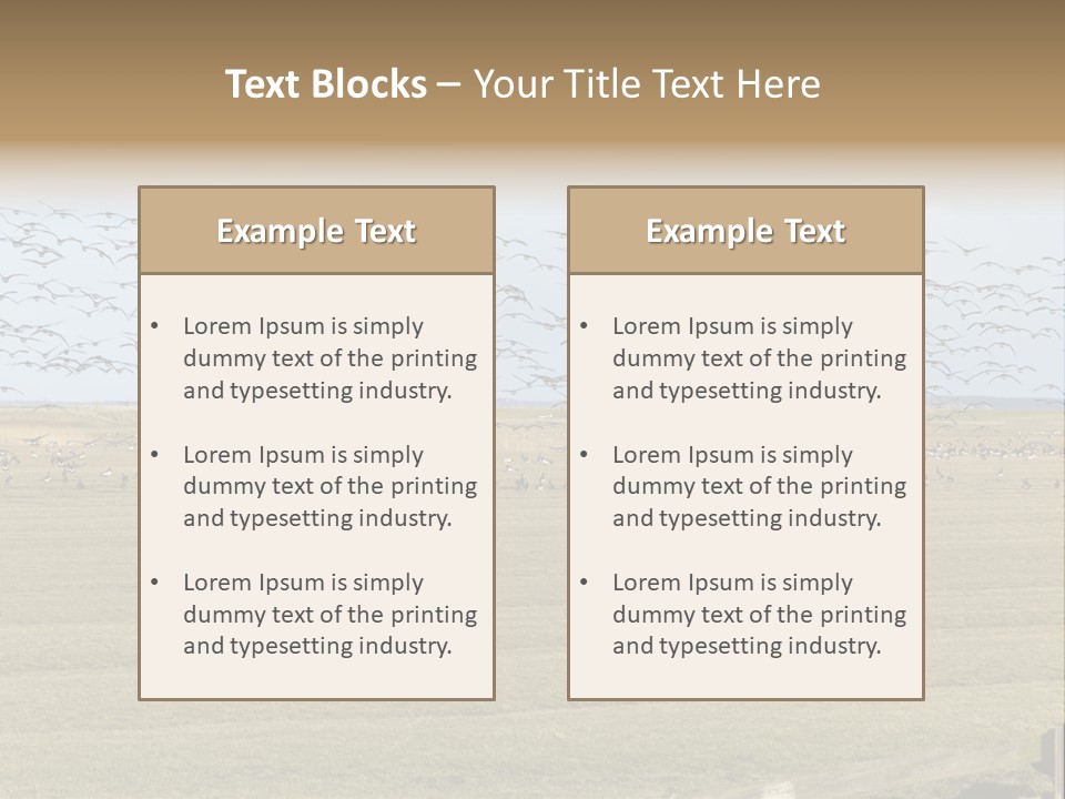 A Large Flock Of Birds Flying Over A Field PowerPoint Template