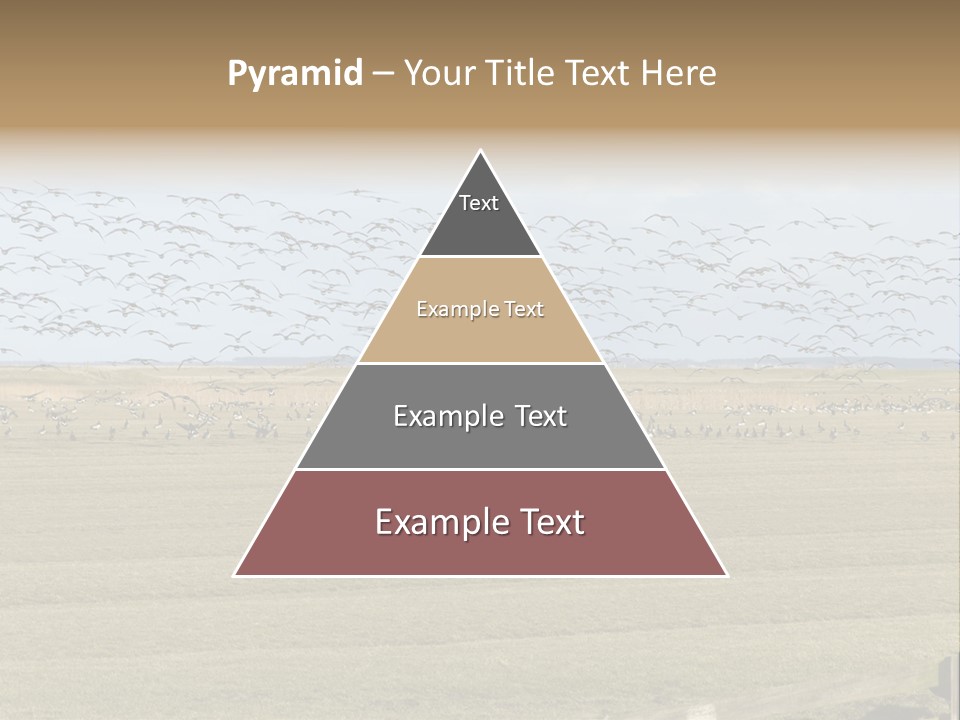 A Large Flock Of Birds Flying Over A Field PowerPoint Template