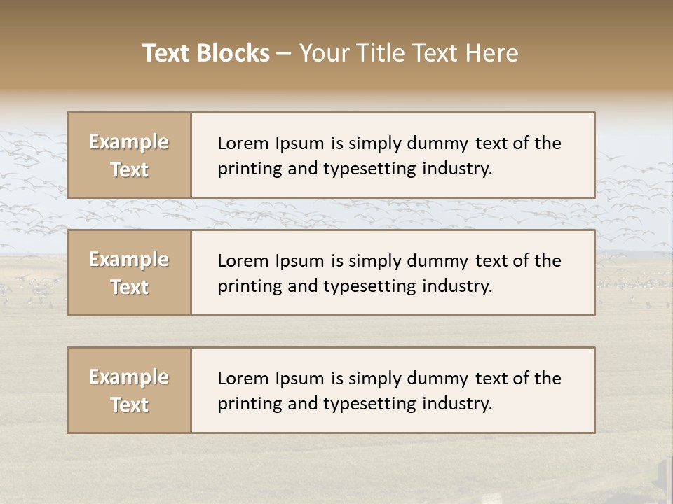 A Large Flock Of Birds Flying Over A Field PowerPoint Template