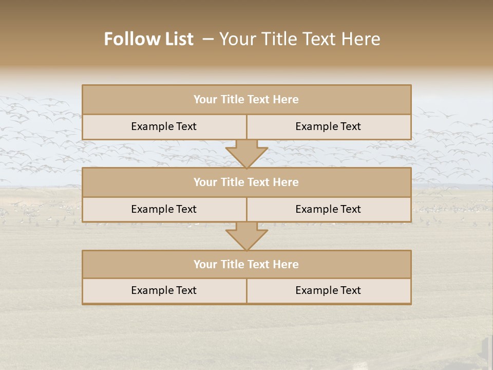 A Large Flock Of Birds Flying Over A Field PowerPoint Template