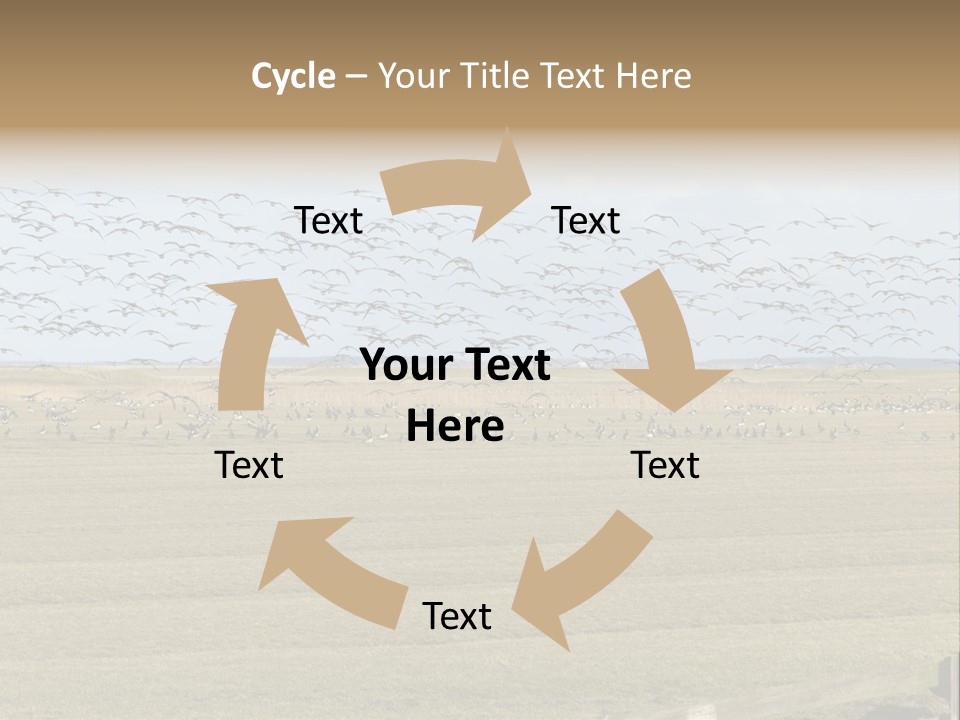 A Large Flock Of Birds Flying Over A Field PowerPoint Template