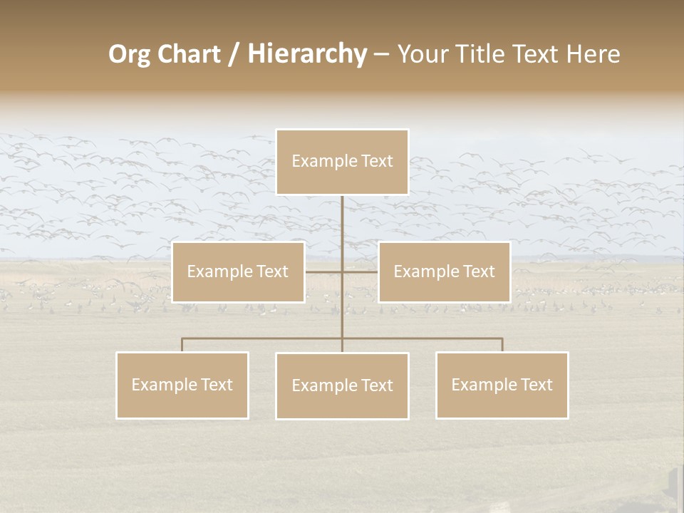 A Large Flock Of Birds Flying Over A Field PowerPoint Template